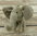 Kuscheltier Elefant 13 cm