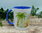 Tasse mit Namen Dinowelt in Wunschfarbe